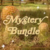 mystery bundle!