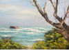 North Shore