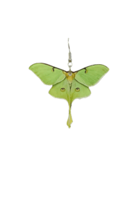 Image 2 of Luna Moth Earrings