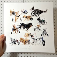 Wheelie Dogs  - 30x30cm Giclee Print
