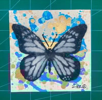 BUTTERFLY