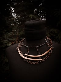 Image 3 of rib stacks