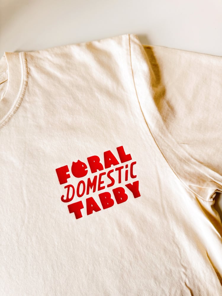 Feline Domestic Tabby Image 4