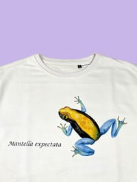Image 2 of Felpa MANTELLA