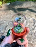 Butterfly Miniature Cloche