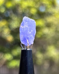 Image 2 of Tanzanite Specimen #2431