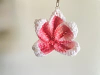 Image 3 of blushing plumerias