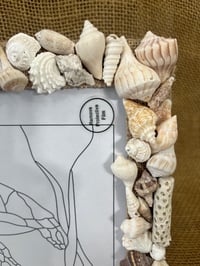 Image 6 of Seashell Picture Frame 8” x 10” #2