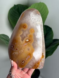 Image 4 of ORBICULAR CARNELIAN FREEFORM -MADAGASCAR- A