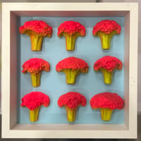 Cloudy skies 9 Broccolis 