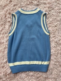 Image 3 of Blue Vest.