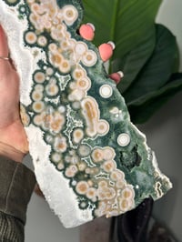 Image 5 of XL 8TH VEIN OCEAN JASPER SLAB - DOUBLE SIDED WITH STAND INCLUDED