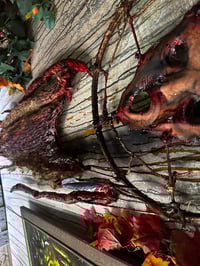 Image 5 of The Scream Catcher 