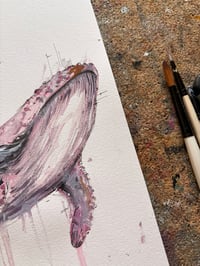 Image 2 of Baleine Rose 