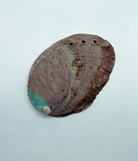 Image 2 of Abalone Seashell trinket dish