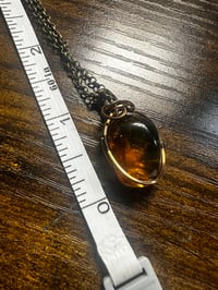 Image 3 of Amber Beetle