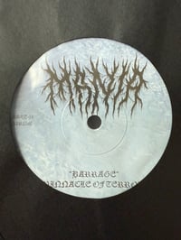 Image 5 of NATURGEIST / MANIA  - “Split”