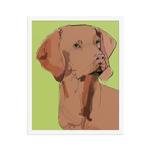 Image of VIZSLA FRAMED ART