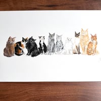 Image 1 of ORIGINAL ARTWORK - Cat Gradient II -  50x25cm