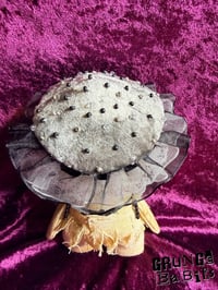 Image 4 of Tazzy Spindleclaw 