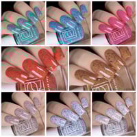 Image 4 of At Sea: Let's Shell-ebrate!