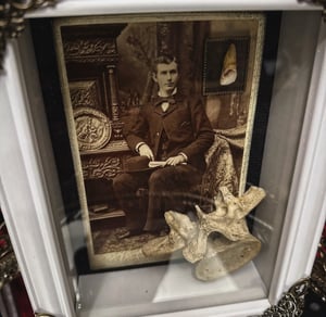 Image of Victorian Gentleman Tooth & Vertebrae 