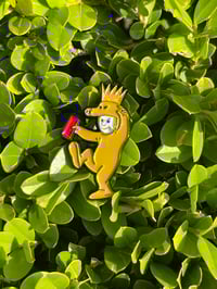 Image 2 of Where the wild quasis are 