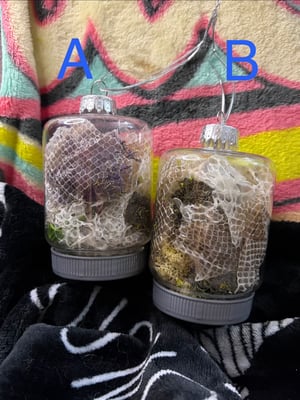 Image of Christmas Ornaments