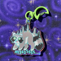 Image 4 of Rainbow Raccoon Acrylic Keychains