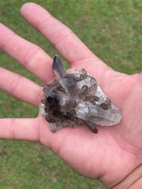 Image 6 of Smoky Quartz Crystal Points Cluster #1628