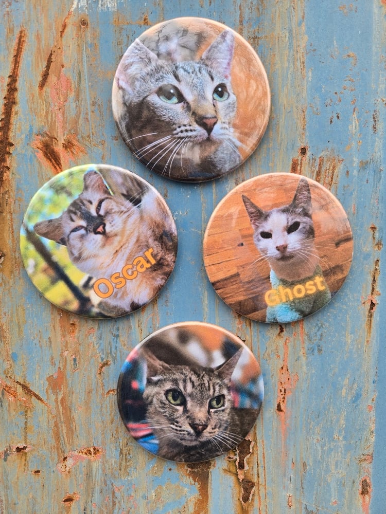 Image of Photo Magnets