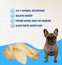 Image 1 of Natural Cow Ear Chews