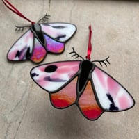 Image 1 of Tiger Moths