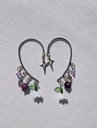 Image 1 of Amethyst Garden 🌿🪻💜🤍