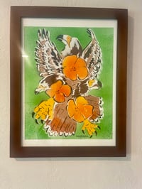 Image 1 of traditional freedom 
