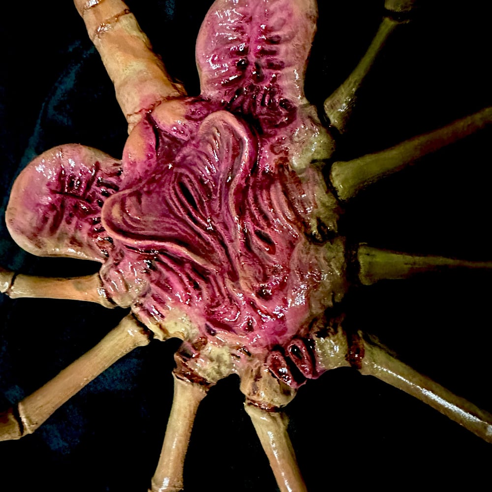 1:1 Scale Facehugger Replica 