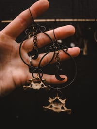 Image 2 of Moon Hoops