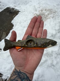 Image 3 of Brook Trout