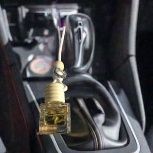 Image of Car Diffusers