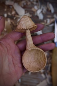 Image 5 of Mushroom Scoop
