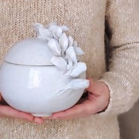 Image 3 of Cajas Natura