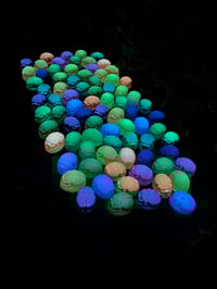 Image 1 of glow in the dark Scarab beetle.