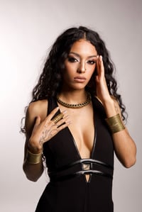Image 1 of Golden Vertebrae Choker
