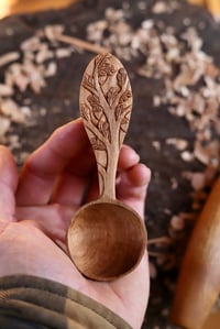 Image 4 of  Oak Tree Coffee Scoop 