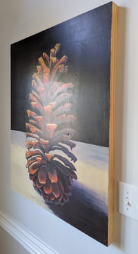 Image 4 of Long Leaf Pine Cone #2