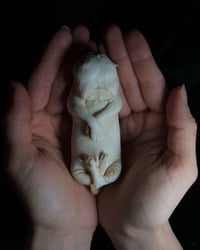 Image 1 of Diprosopus kitten 