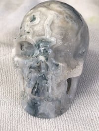 tree agate skull