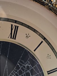 Image 5 of Vintage ornate preserved spider web clock 