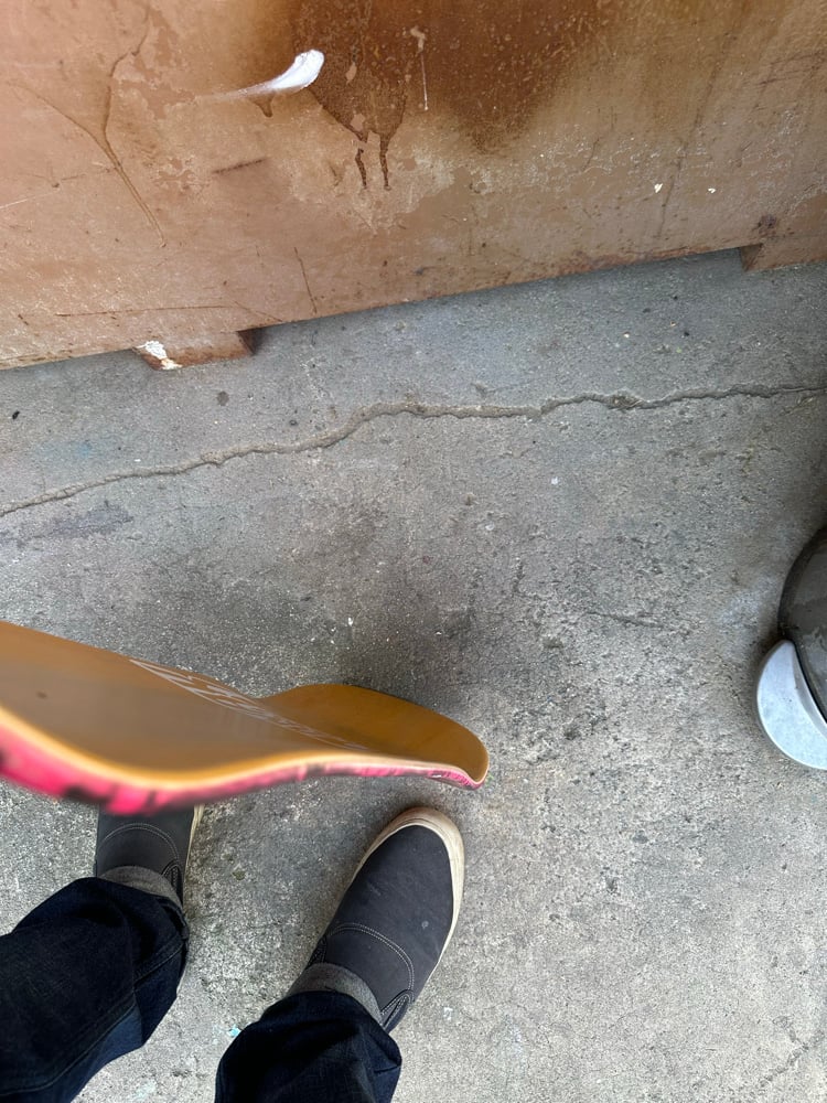 9" Bad Mongo Mid - Iggy Graphic - Laced Halo