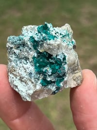 Image 1 of Dioptase On Matrix Specimen #2618